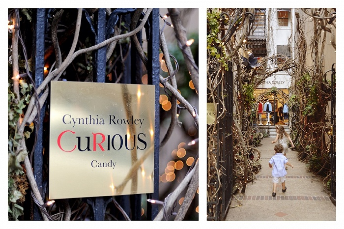 curious candy cynthia rowley store